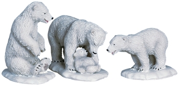 Polar Bears